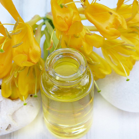 BIO Argan Speise&ouml;l 5 Liter