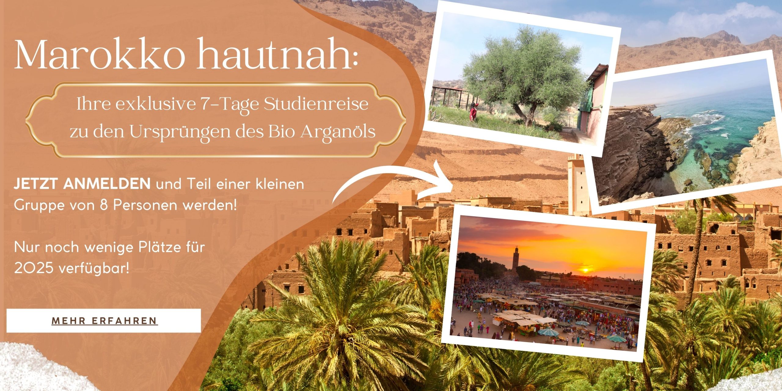 7 Tage Studienreise